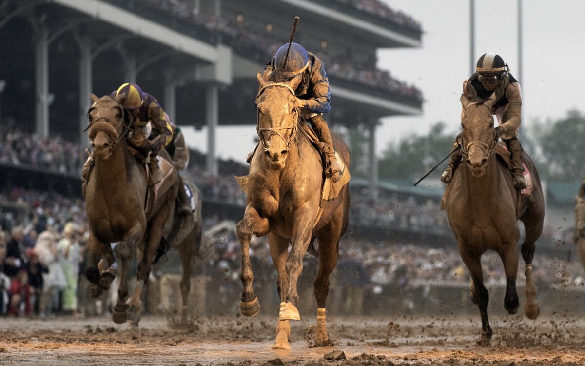 Sovereignty - Photo: Debbie Roma - Daily Racing Form