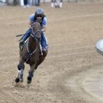 Thorpedo Anna - Barbara D. Livingston - Daily Racing Form