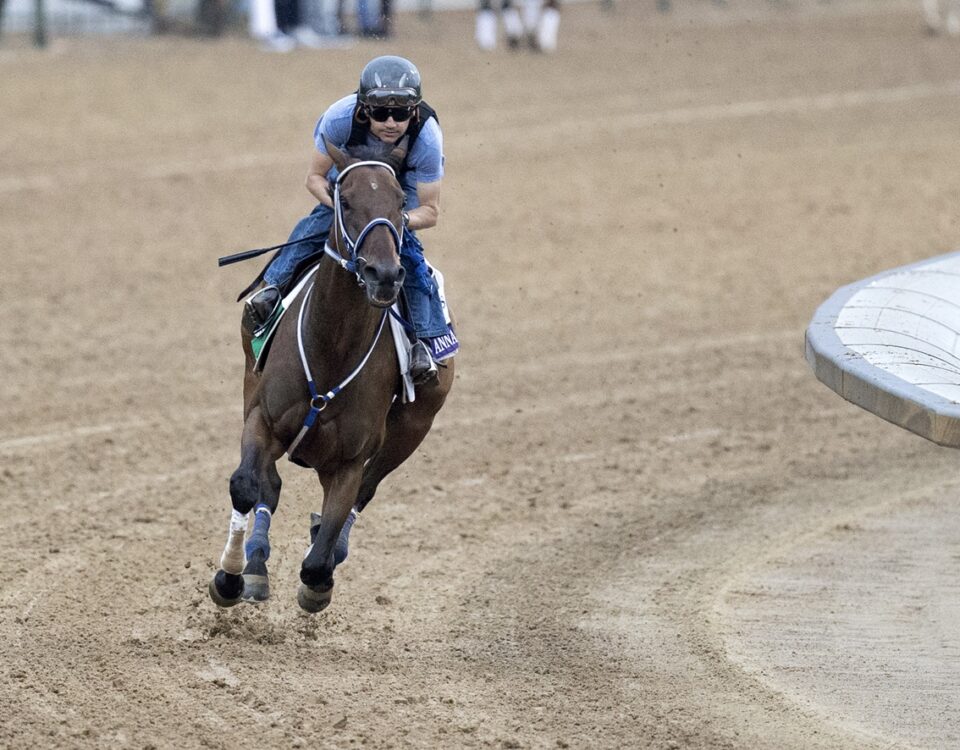 Thorpedo Anna - Barbara D. Livingston - Daily Racing Form