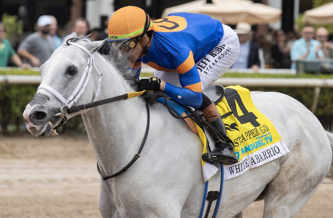 Gulfstream Park - Barbara D. Livingston - Daily Racing Form