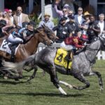 Witty - Jim McKay Turf Sprint - Barbara D. Livingston - Daily Racing Form