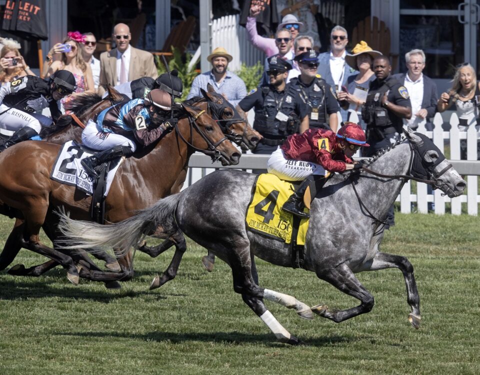 Witty - Jim McKay Turf Sprint - Barbara D. Livingston - Daily Racing Form