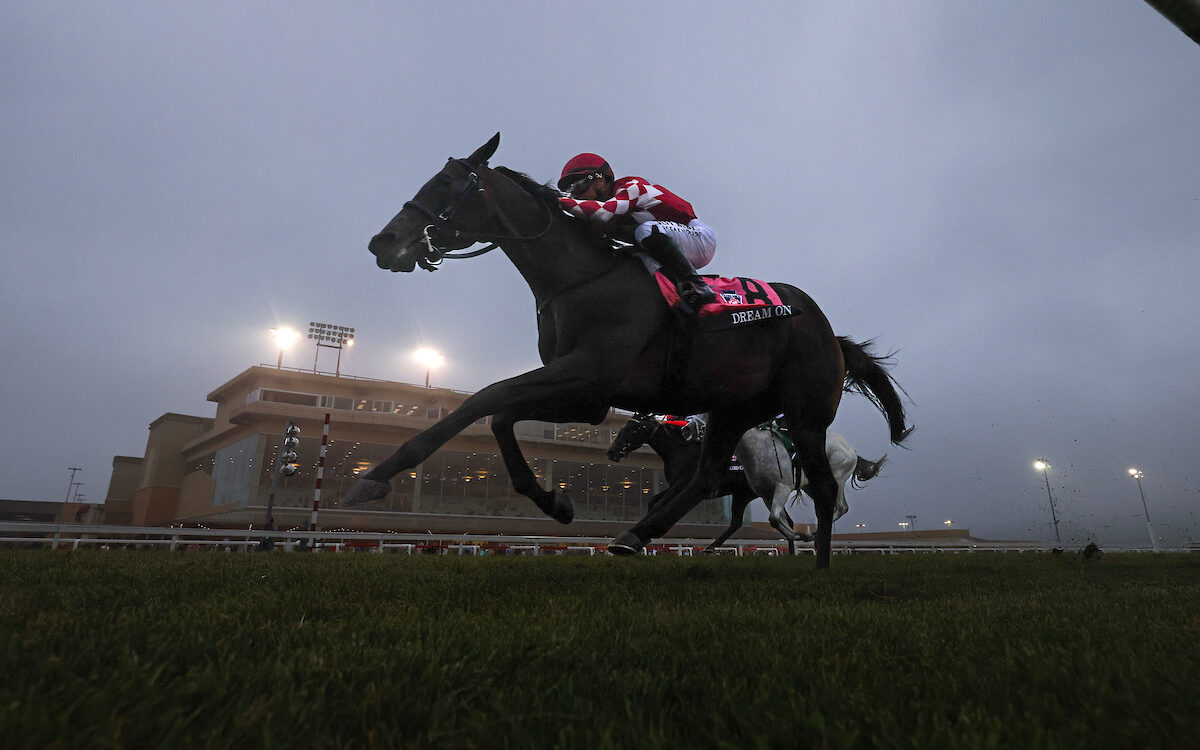 Dream On - Grade 3 Penn Mile at Penn National -Photo By Taylor Ejdys/EQUI-PHOTO
