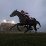 Dream On - Grade 3 Penn Mile at Penn National -Photo By Taylor Ejdys/EQUI-PHOTO