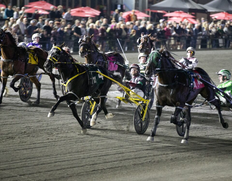 Louprint - Pepsi North America Cup (G1) $1M - Mohawk Park / Michael Burns Photo