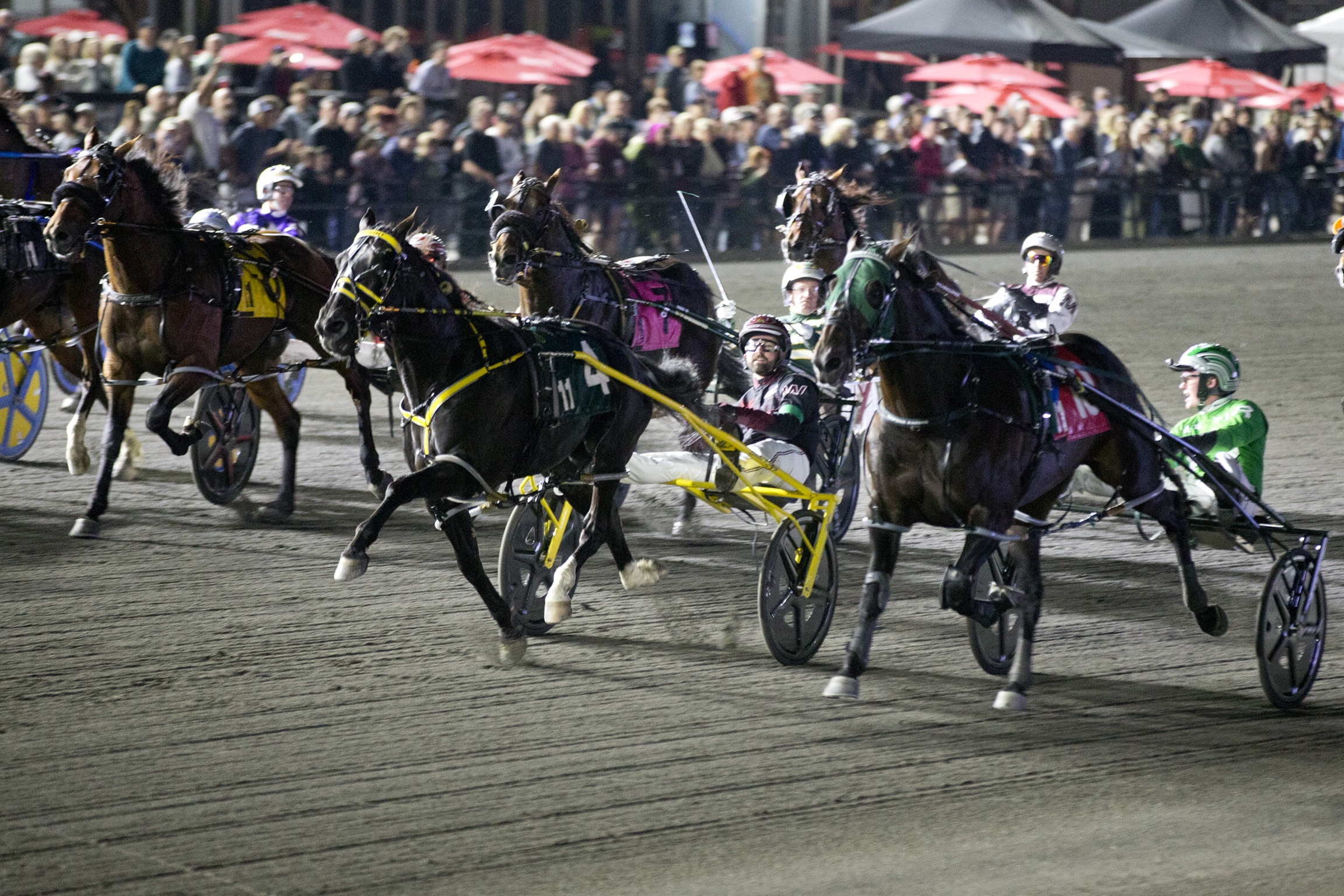 En final de foto, Louprint ganó la North America Cup G1 | DRF en Español