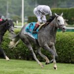 Ag Bullet - Jaipur G1 - Barbara D. Livingston - Daily Racing Form