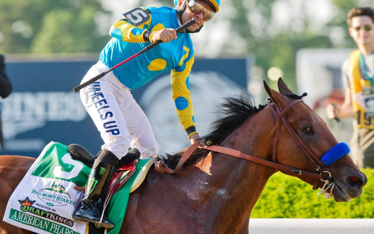 American Pharoah - Belmont Stakes 2015 - Barbara D. Livingston - Daily Racing Form