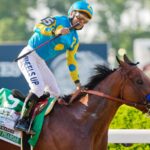 American Pharoah - Belmont Stakes 2015 - Barbara D. Livingston - Daily Racing Form