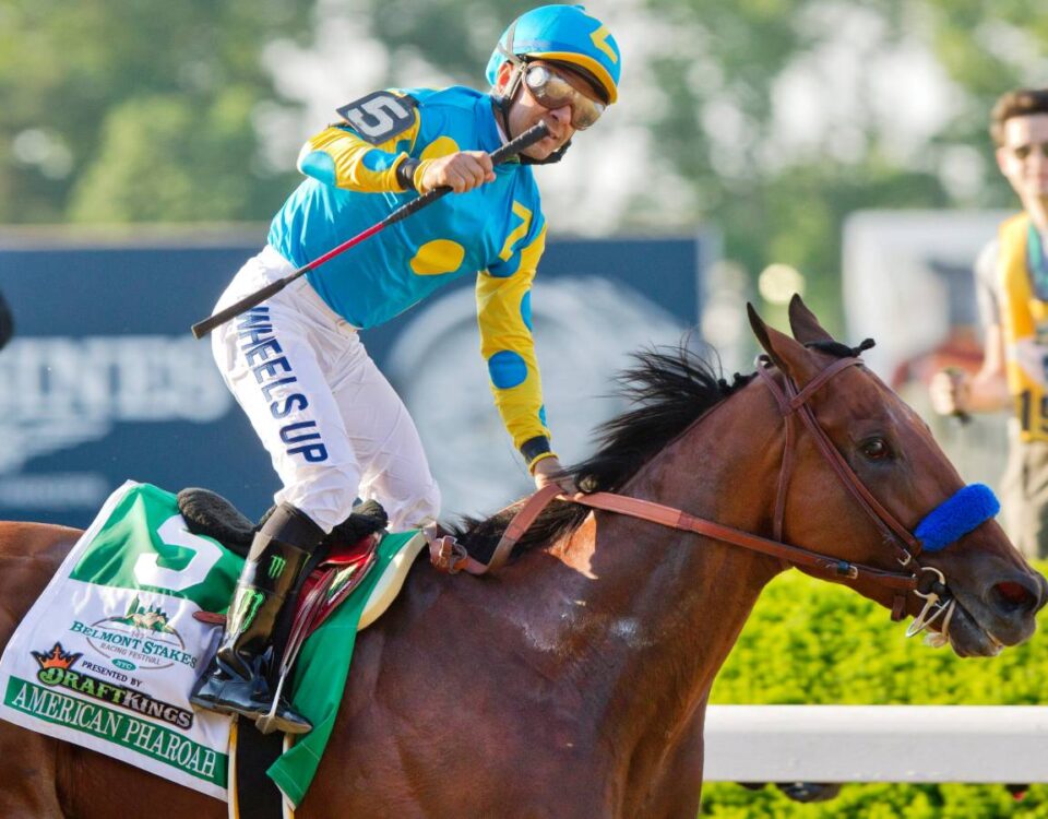American Pharoah - Belmont Stakes 2015 - Barbara D. Livingston - Daily Racing Form