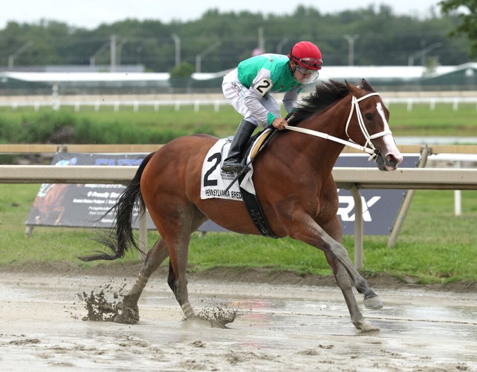 Carmelina - Unique Bella Stakes - Taylor Ejdys/EQUI-PHOTO