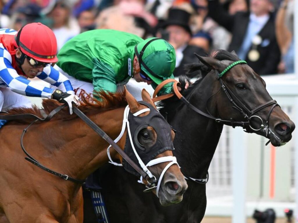 Crimson Advocate - Queen Mary Stakes - Foto: Megan Ridgwell - Ascot Media