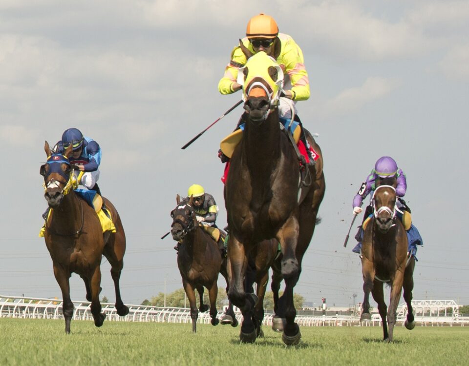 Rhaenyra - Georgian Bay Stakes - Woodbine/ Michael Burns Photo
