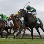 Deterministic - Manhattan G1T - Barbara D. Livingston - Daily Racing Form