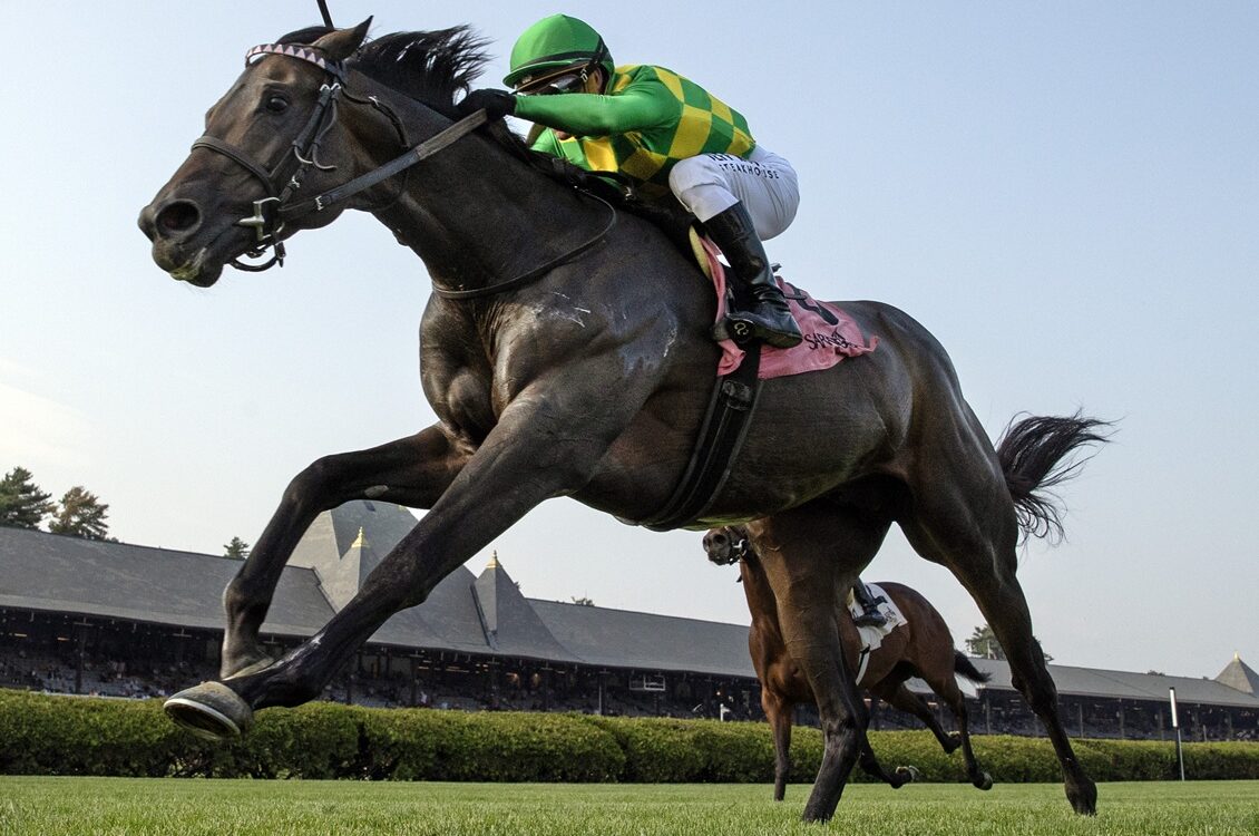 Donegal Momentum - Poker Stakes - Barbara D. Livingston - Daily Racing Form