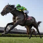 Donegal Momentum - Poker Stakes - Barbara D. Livingston - Daily Racing Form
