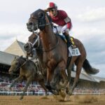 Dornoch - Belmont Stakes 2024 - Debra A. Roma - Daily Racing Form