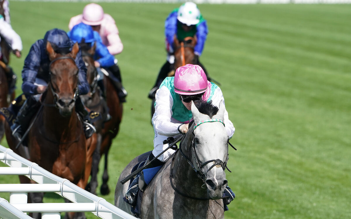 Field Of Gold wins the St James's Palace Stakes (credit: Megan Coggin - Ascot Media)