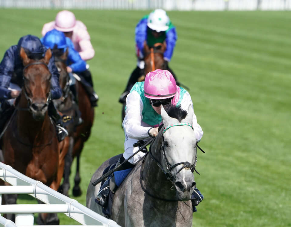 Field Of Gold wins the St James's Palace Stakes (credit: Megan Coggin - Ascot Media)