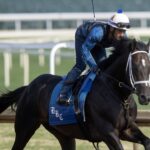 Fist Mission (Beyer 109)- Foto: Barbara D. Livingston / Daily Racing Form