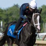 Good Cheer - Barbara D. Livingston - Daily Racing Form