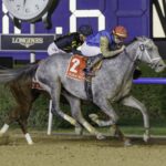 Hit Show - Dubai World Cup - Dubai Racing Media