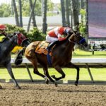 Kings River Knight - Bertrando Stakes - Benoit Photo