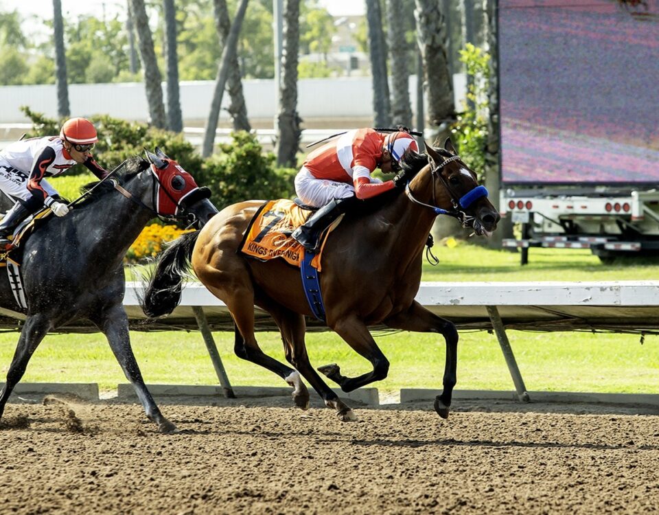 Kings River Knight - Bertrando Stakes - Benoit Photo
