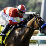 Kings River Knight - Benoit Photo