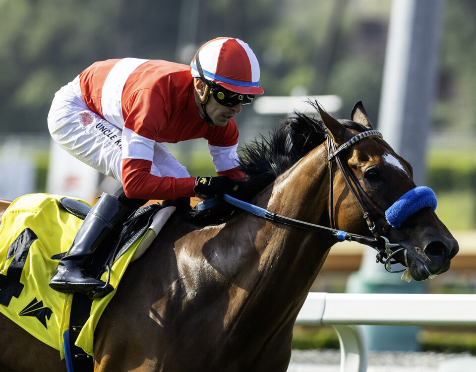 Kings River Knight - Benoit Photo