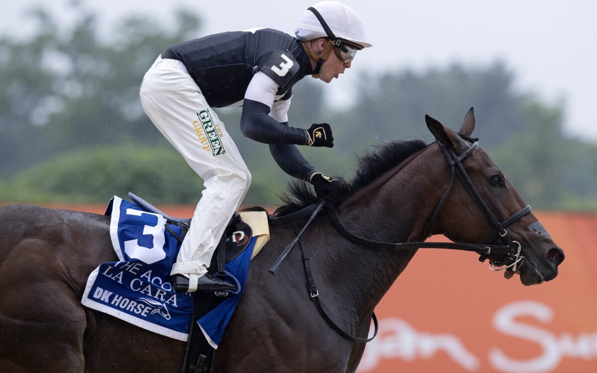 La Cara – foto Barbara D. Livingston – Daily Racing Form