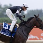 La Cara – foto Barbara D. Livingston – Daily Racing Form