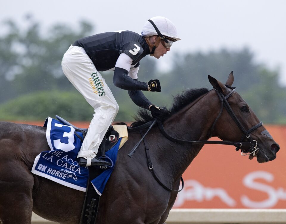 La Cara – foto Barbara D. Livingston – Daily Racing Form