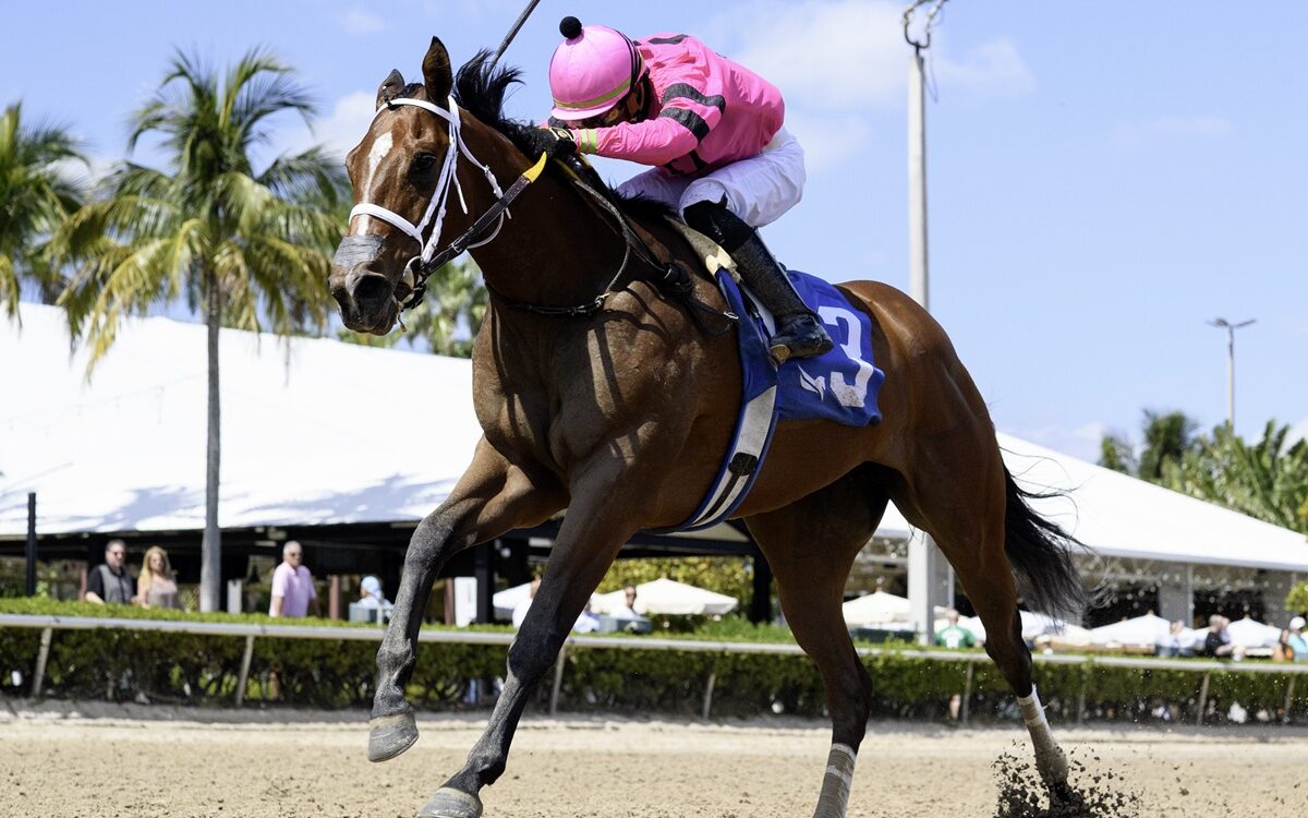 Luvumorgan - Ryan Thompson - Coglianese Photo