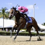 Luvumorgan - Ryan Thompson - Coglianese Photo
