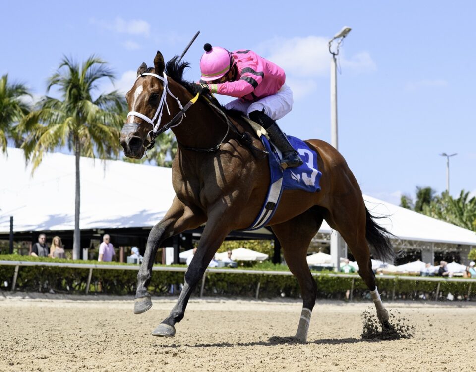 Luvumorgan - Ryan Thompson - Coglianese Photo