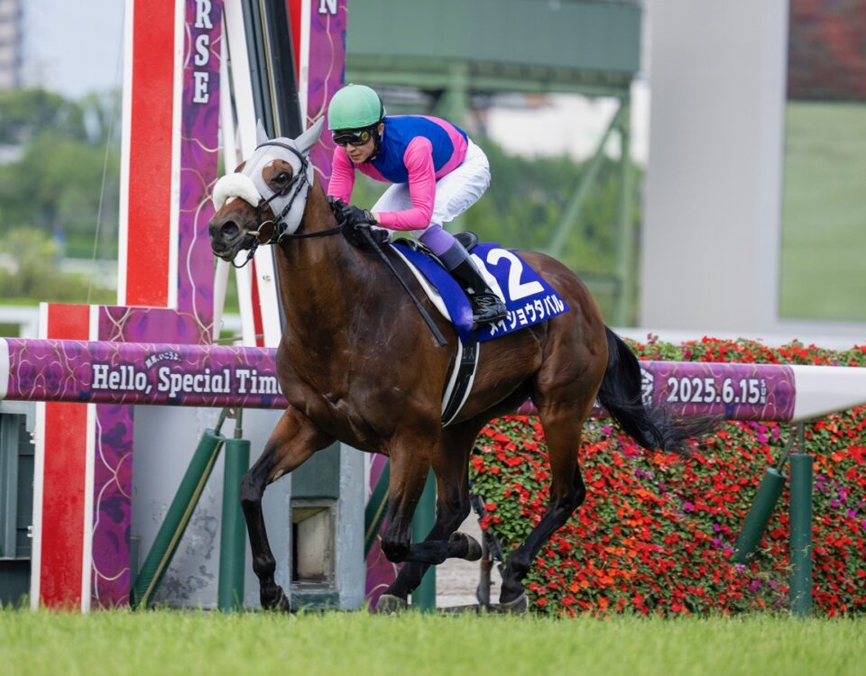 Meisho Tabaru - Takarazuka Kinen G1T - Mariguricacing.com/Breeders Cup Media