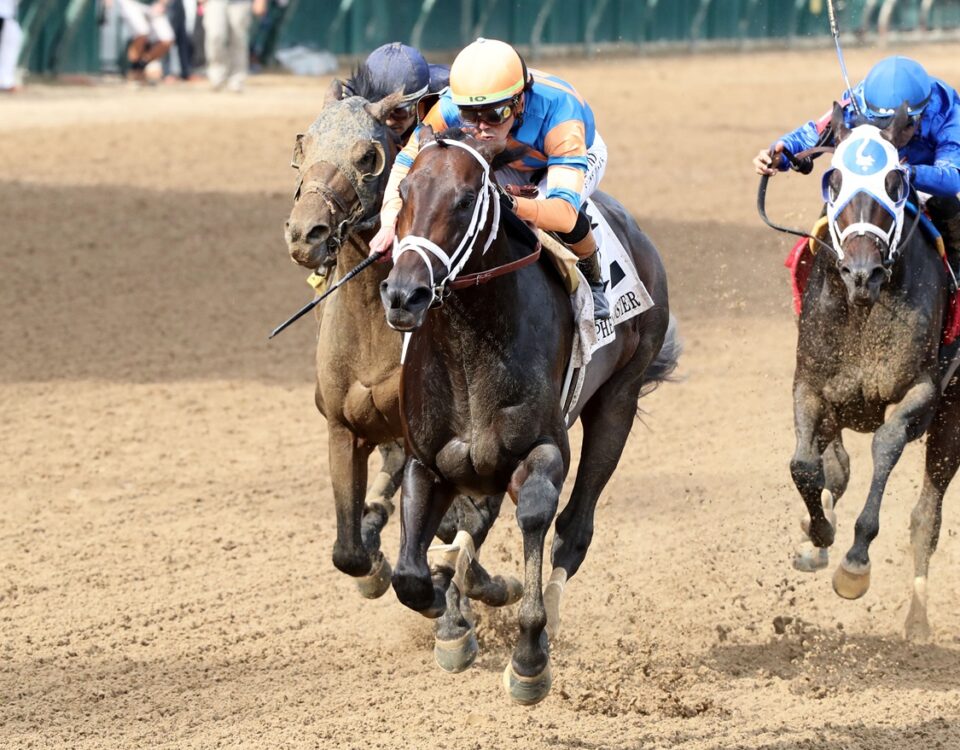 Mindframe - Stephen Foster Stakes G1 - Coady Media