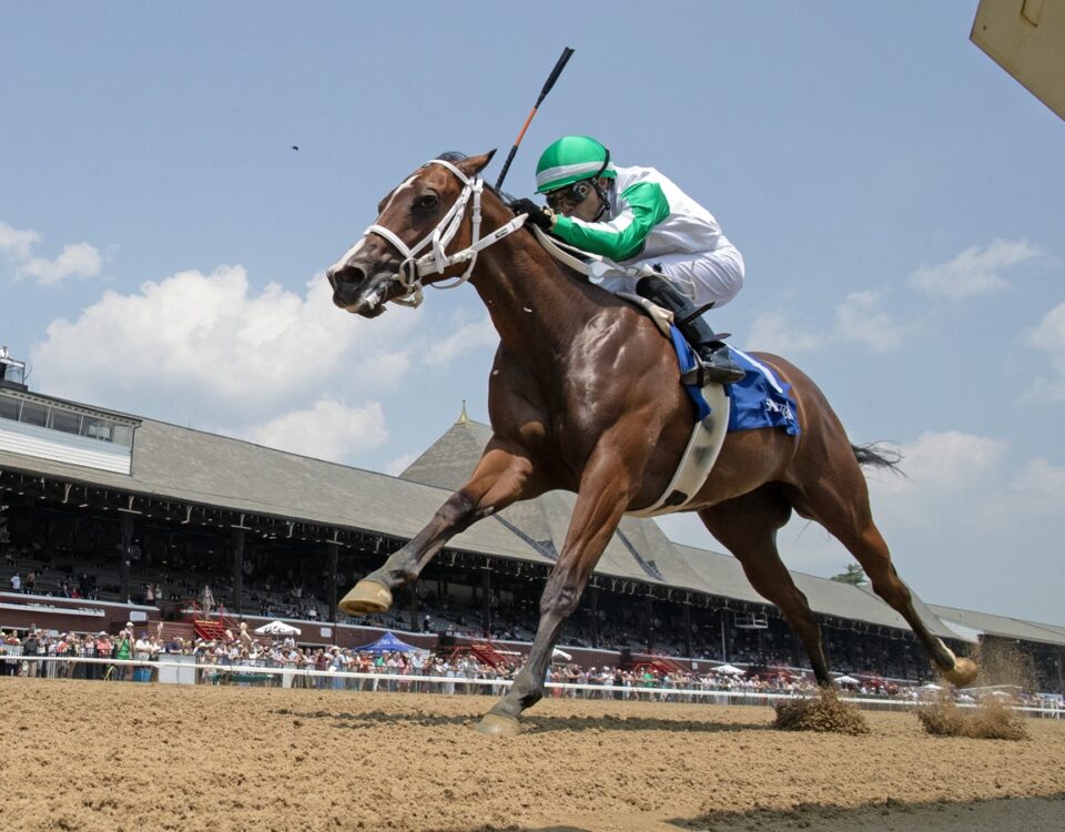 Mythical - Tremont Stakes - Barbara D. Livingston - Daily Racing Form