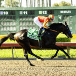 Nevada Beach - Los Alamitos Derby - Benoit Photo