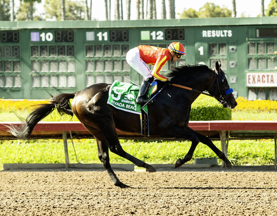 Nevada Beach - Los Alamitos Derby - Benoit Photo
