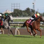Ocean Club - Nassau Stakes - Julie Wright - Daily Racing Form