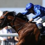 Ombudsman wins the Prince Of Wales's Stakes (credit: Megan Coggin-Ascot Media)