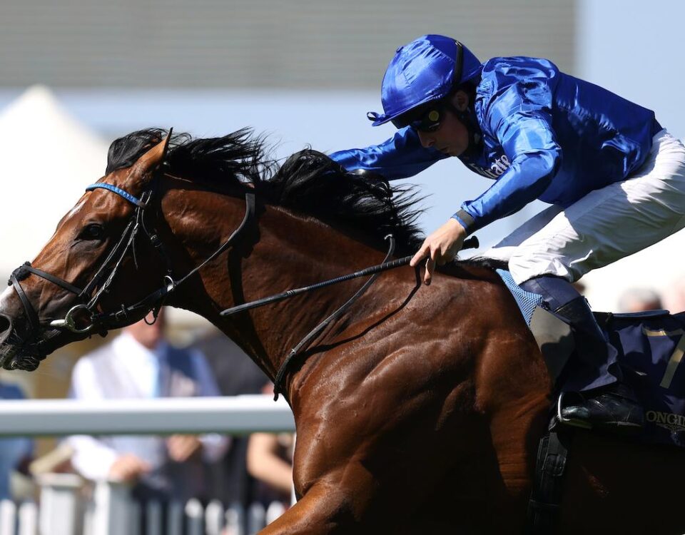 Ombudsman wins the Prince Of Wales's Stakes (credit: Megan Coggin-Ascot Media)
