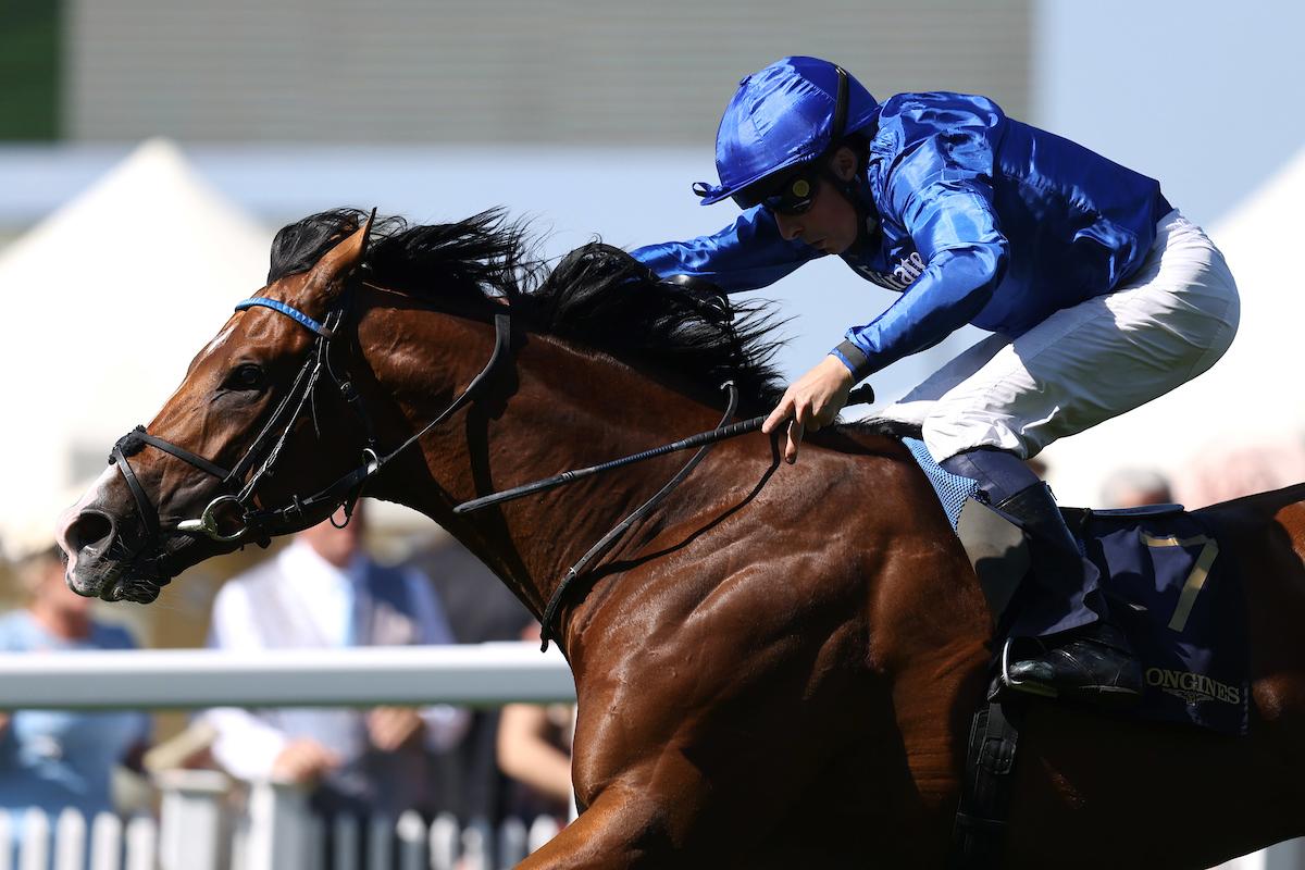 Ombudsman cayó como un relámpago en el Prince of Wales's Stakes | DRF