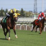 Patches O' Houlihan - Highlander Stakes - Julie Wright - Daily Racing Form