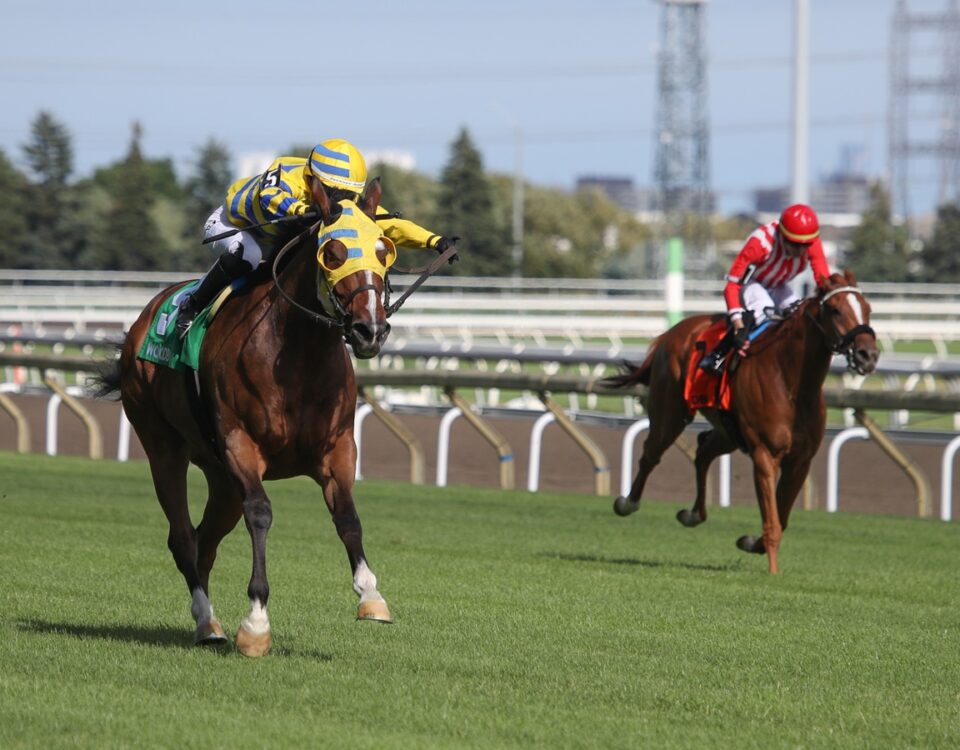 Patches O' Houlihan - Highlander Stakes - Julie Wright - Daily Racing Form