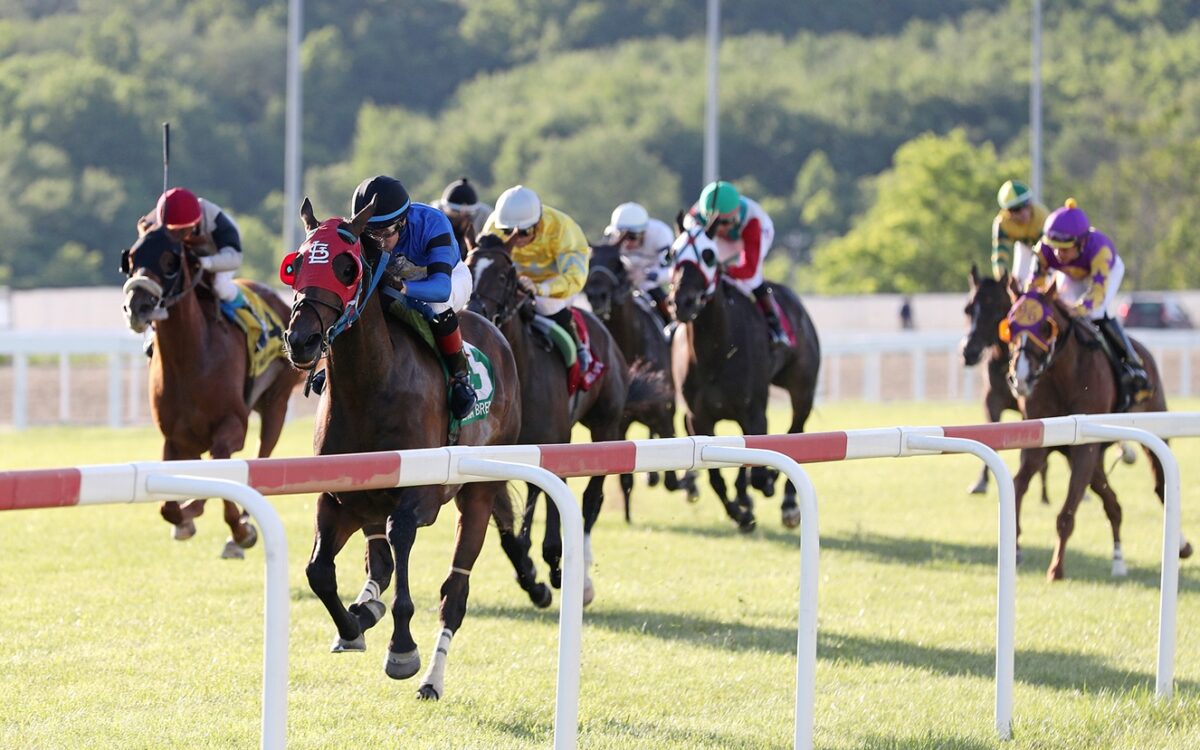 Penn National Action - Bill Denver/EQUI-PHOTO