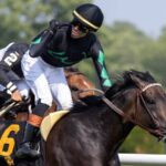 Pipsy - Intercontinental Stakes G2 - Barbara D. Livingston - Daily Racing Form