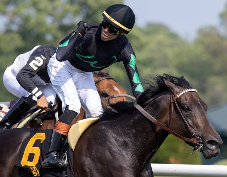 Pipsy - Intercontinental Stakes G2 - Barbara D. Livingston - Daily Racing Form